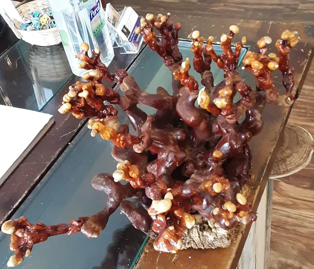 Matt's Wild Foods LLC