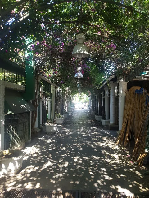 Rue piétonnière de Tipasa