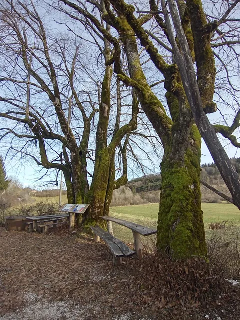 Chalet du Coin d'Aval