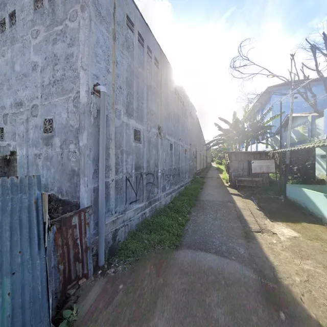 Pecel Lele Pak Somat