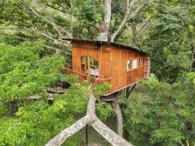Casa en el árbol - Dosis Verde - Tobia