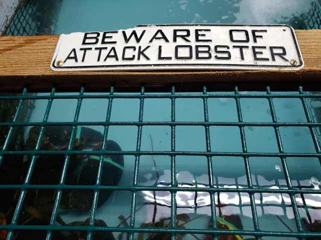 Bedrock Lobster Pound