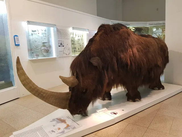 Gosudarstvennyy Istoricheskiy Muzey Yuzhnogo Urala