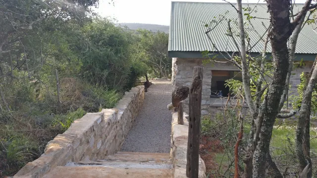 Crown River Safari Private Game Reserve