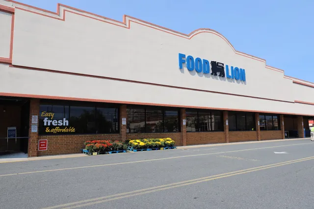 Food Lion