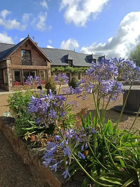 Chambres d'hotes La Palmeraie