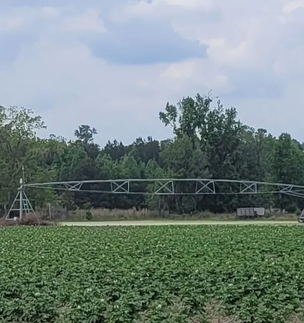 Lanier Farm and Produce