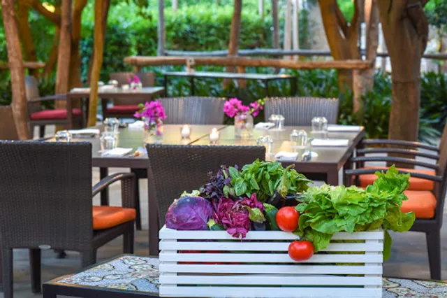 L'agrumeto barbecue and more