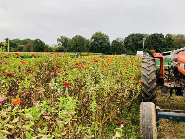 Rottkamp Brothers Farm