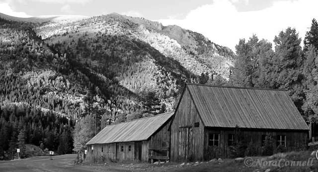 St Elmo General Store Inc