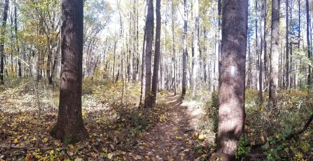 Little Bennett Park Day Use Area