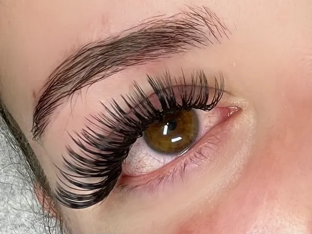 Lashified Beauty 2.0