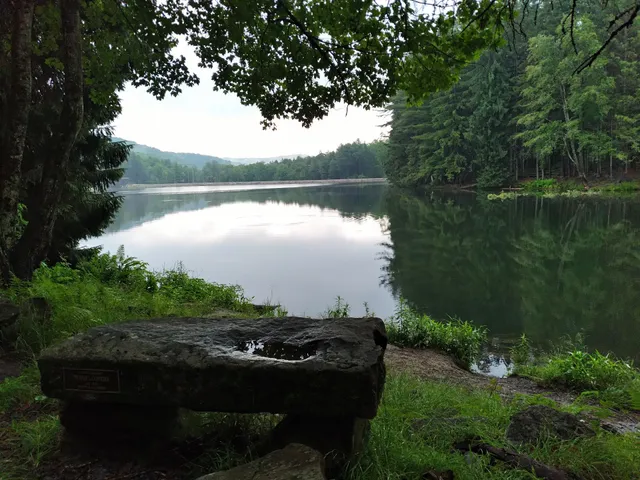 Historic Marilla Covered Bridge