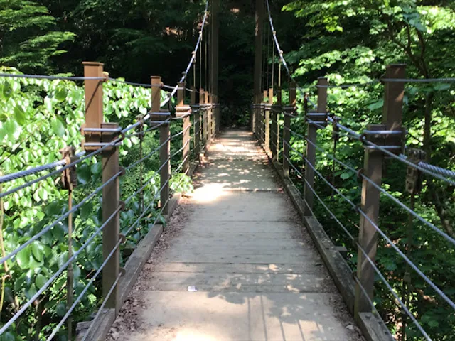 Miyama Suspension Bridge