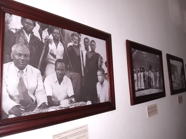 Mwalimu Nyerere Museum, Mzimuni