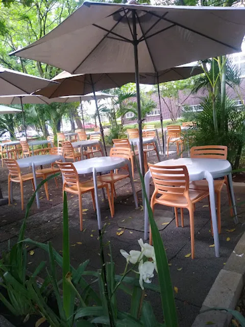 Girassol Alimentação Saudável