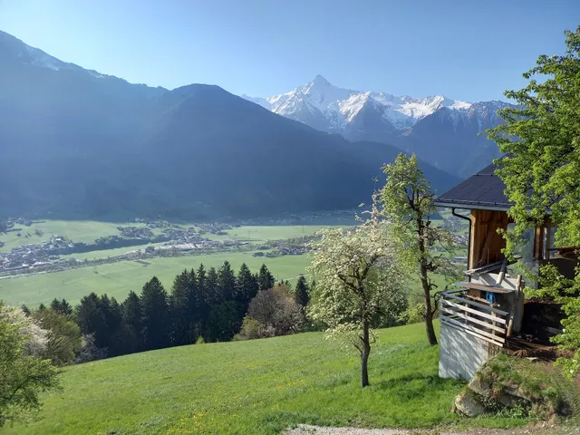 Appartement Buchauer