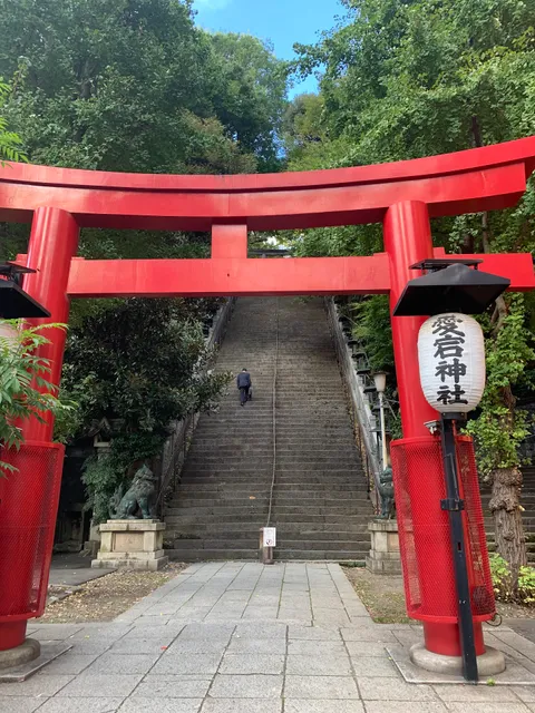 photo-1