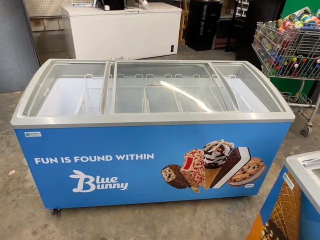 Icy Delights Logistics ( Blue Bunny Ice Cream Wholesale)