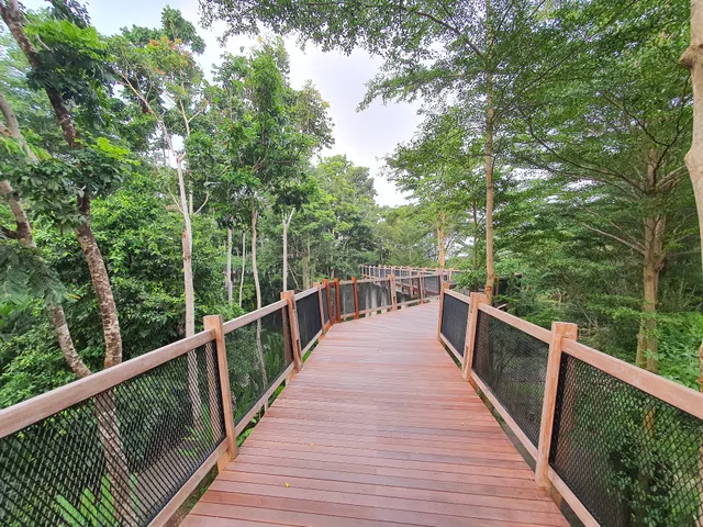 Sky Bridge from Rimba to Ayana Hotel