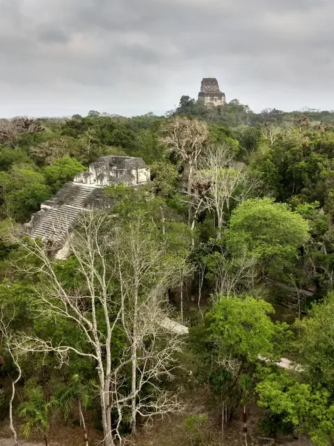 photo-1