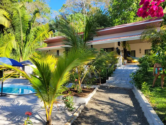 House in the palm forest