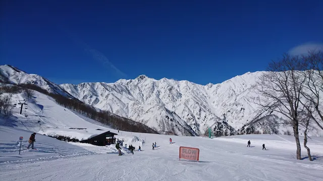 (株)白馬フォーティセブン