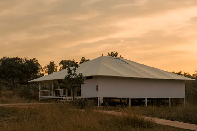 Tree of Life Ramvilas