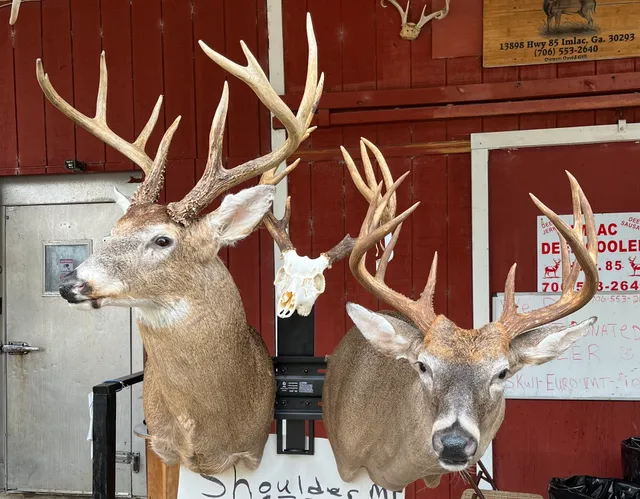 Imlac Deer Processing