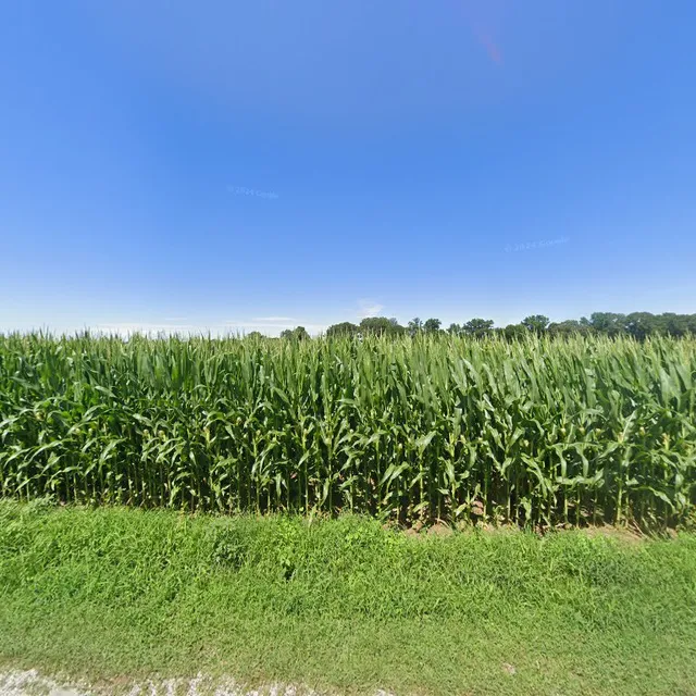 Bell Family Farms LLC