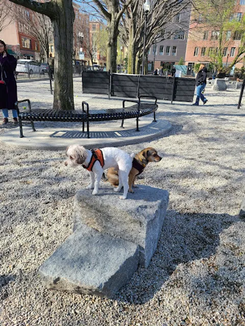 Peters Park Dog Park