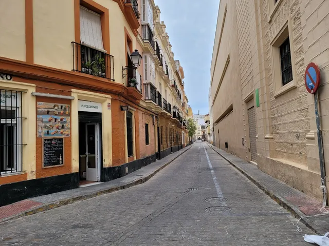 Jose Celestino Mutis