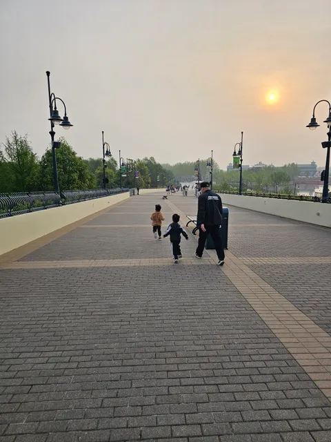 Disney Amusement Park Parking Lot