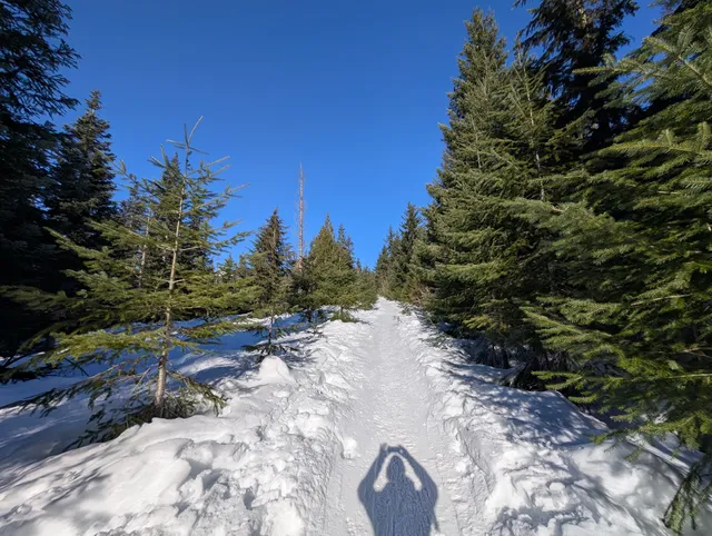Kendall Peak Lakes Trail 1344