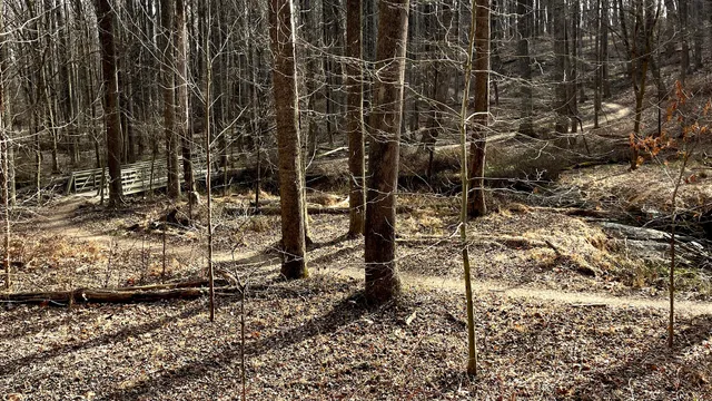 Great Seneca Park 355 (Pupusa)