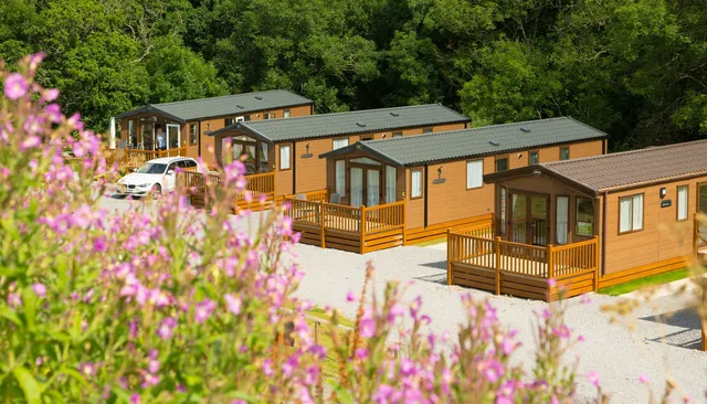 Castle Brake Holiday Park