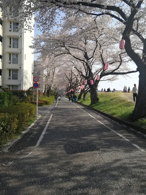 photo-3