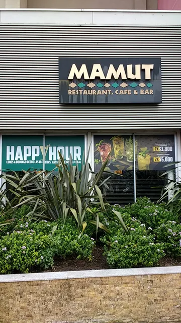 Mamut Mall Mirador Bio Bio