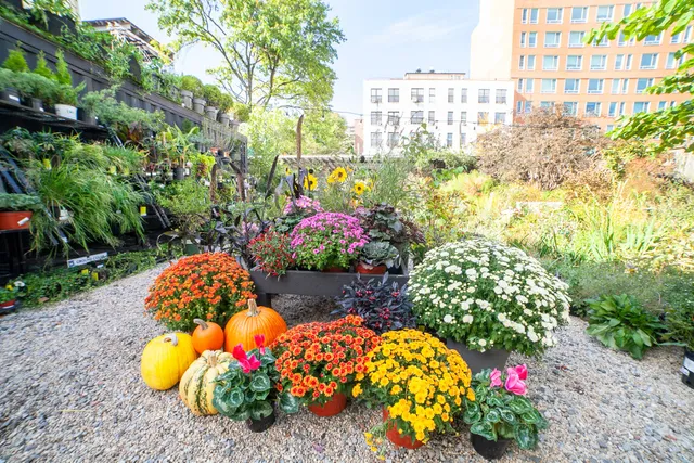 Outside Space Garden Center