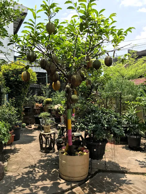 Mei Cin Durian Pancake