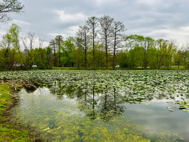 Forest Park Hatchery