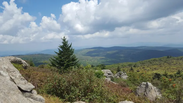 Mount Rogers National Recreation Area