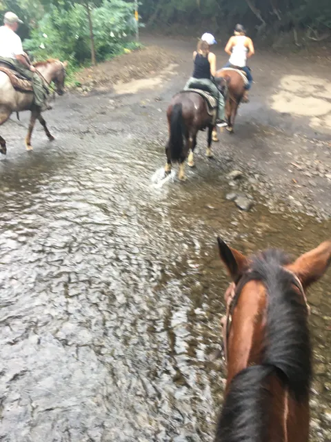 Waipi'o Na'alapa Stables