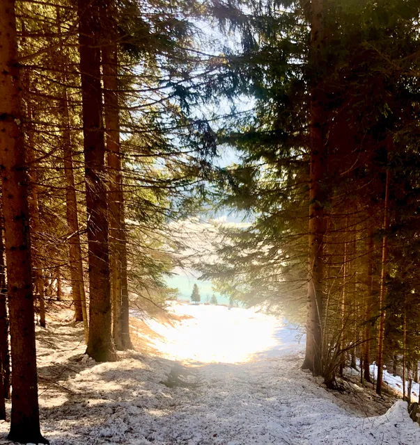 Ferienwohnungen Haus Christina