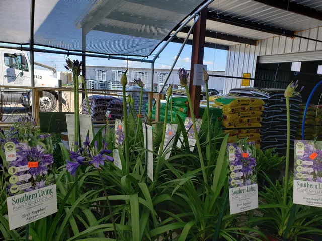 Farmers Cooperative Market