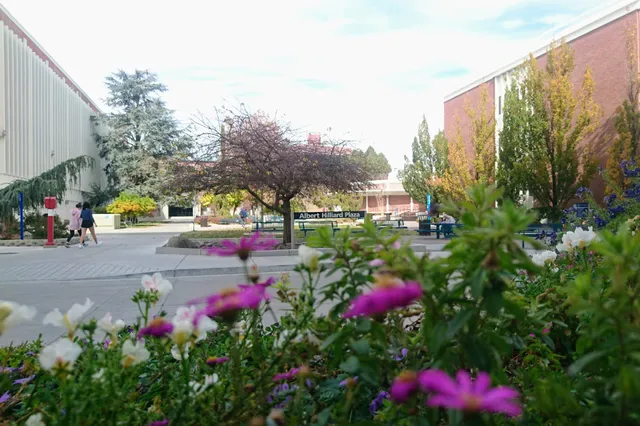 College of Business at the University of Nevada, Reno