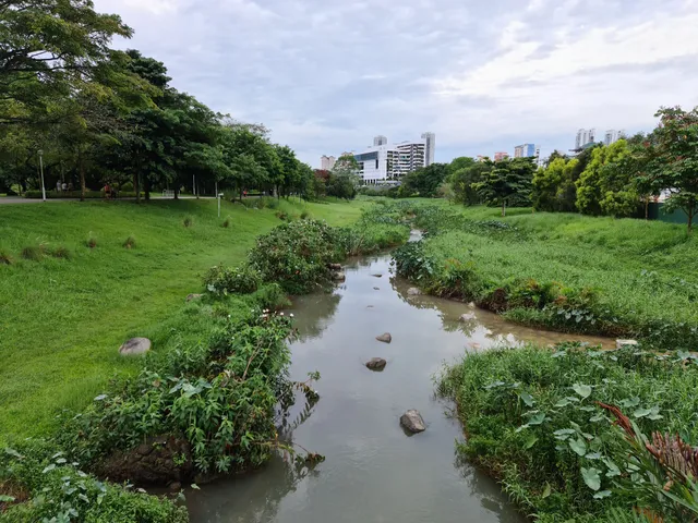 Bishan Ang Mo Kio Park 1