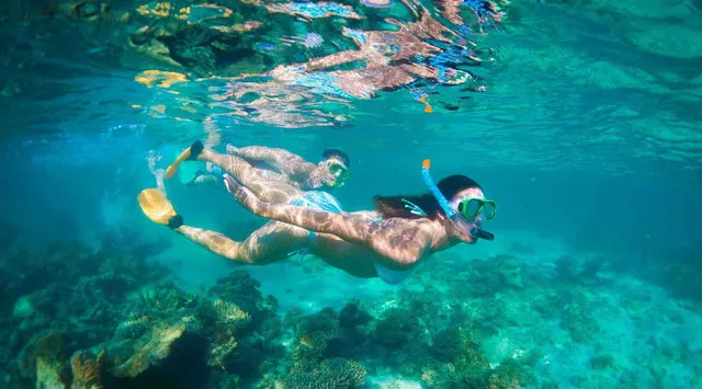 Last Minute Day Tours