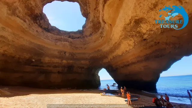 Treasure Tours (kayak tours)