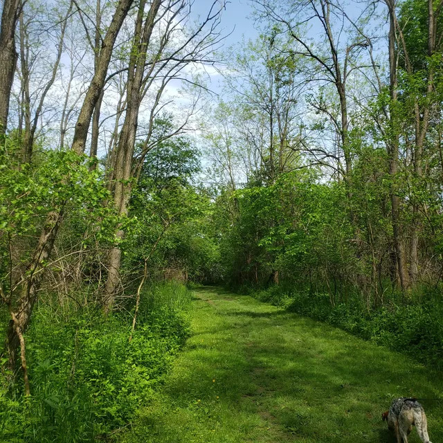 Osprey Trailhead at Lake Macbride State Park